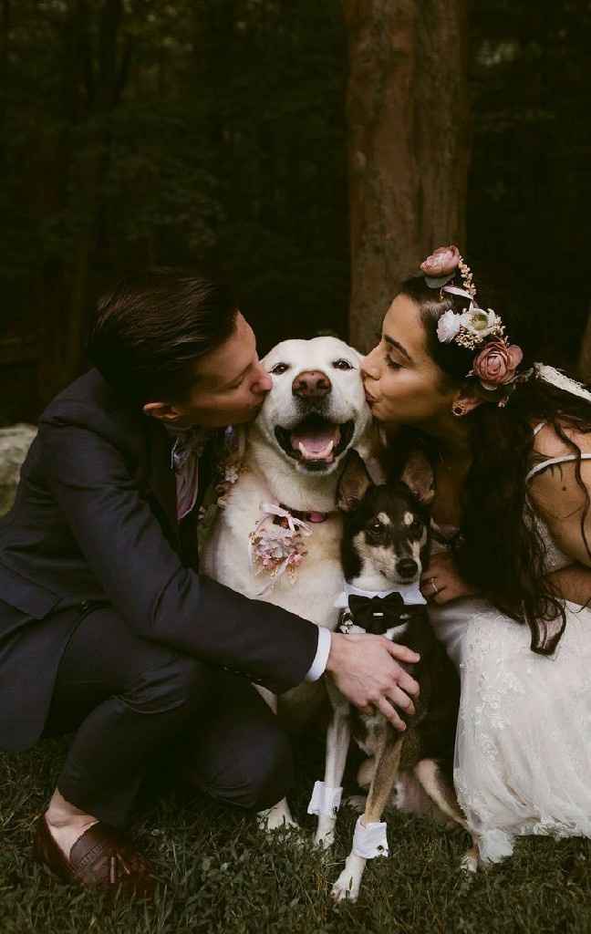 "Trash the Drees con Amigo" - 7