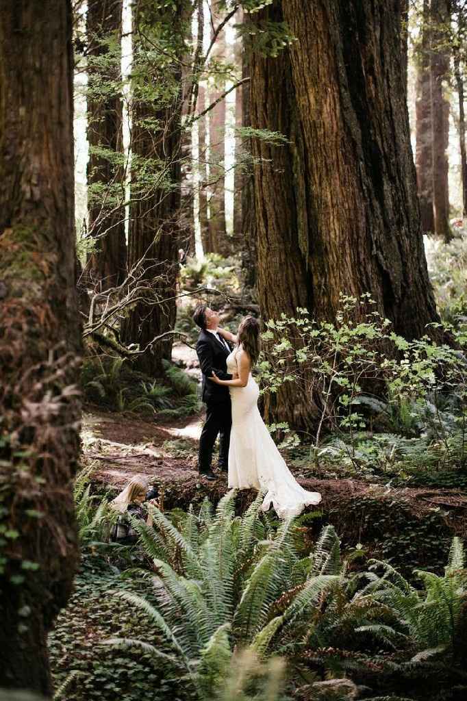 "Trash the Drees en el Bosque" - 1