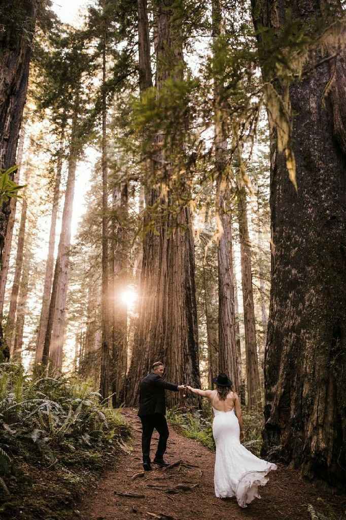 "Trash the Drees en el Bosque" - 2
