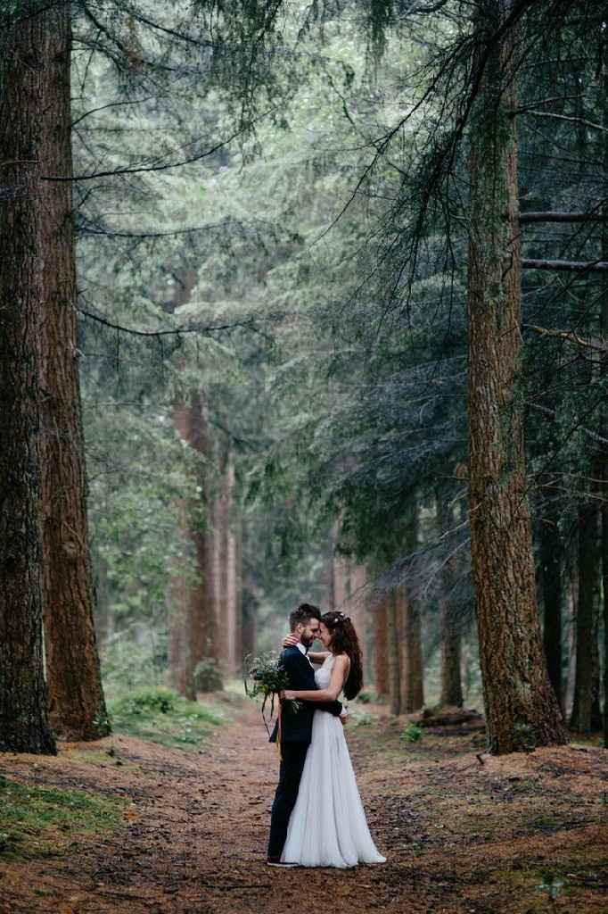 "Trash the Drees en el Bosque" - 3