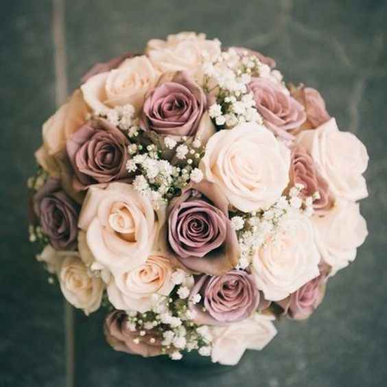 Rosas  5