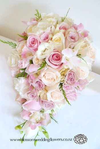 Rosas  13