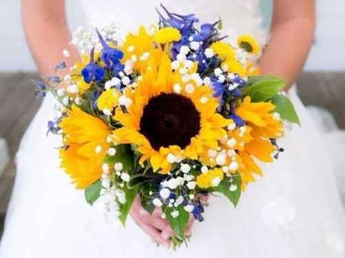 girasoles