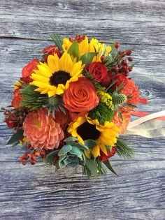girasoles