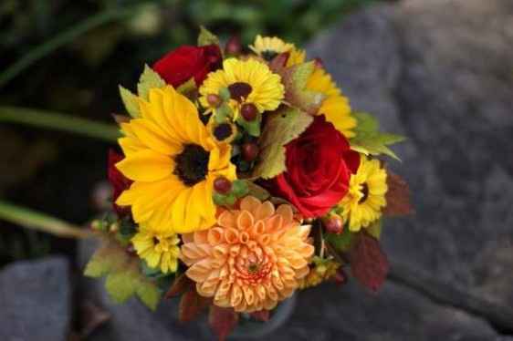 girasoles