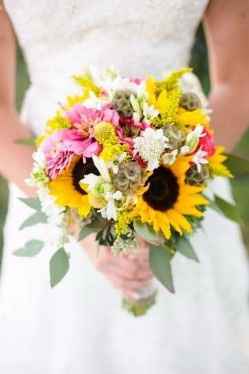 girasoles