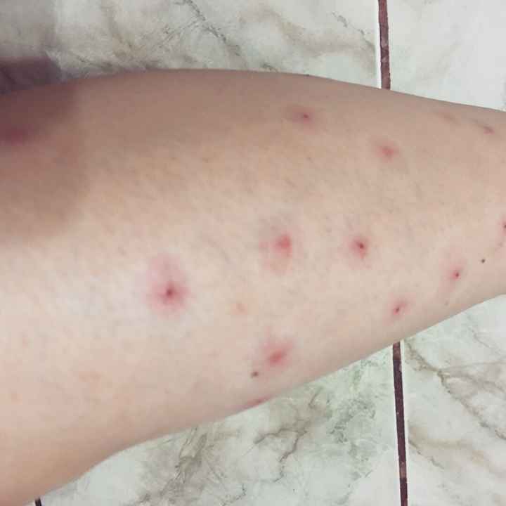 Ya fue nuestra sesión informal - 1