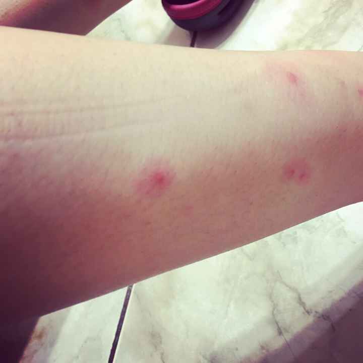 Ya fue nuestra sesión informal - 4