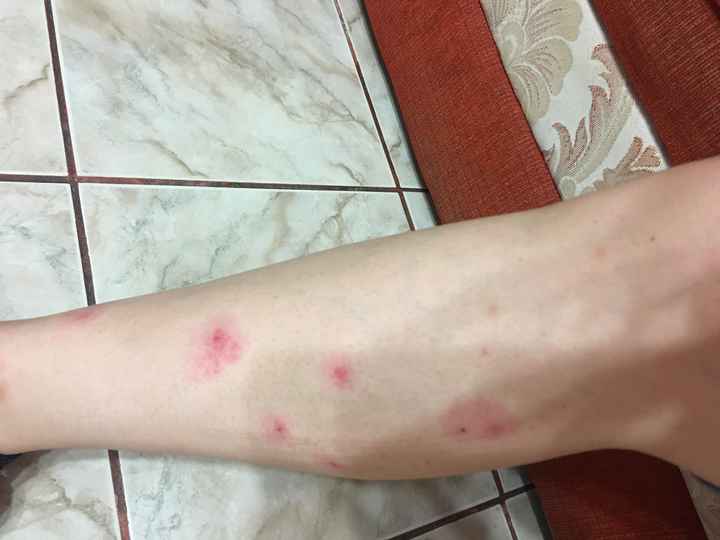 Ya fue nuestra sesión informal - 5