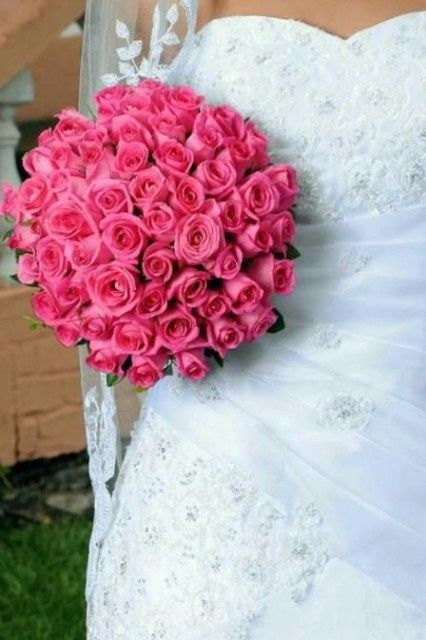 Rosas  2