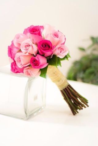 Rosas  3