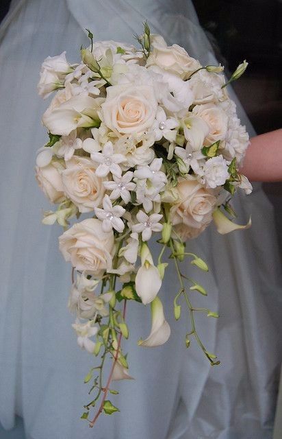 Rosas  4