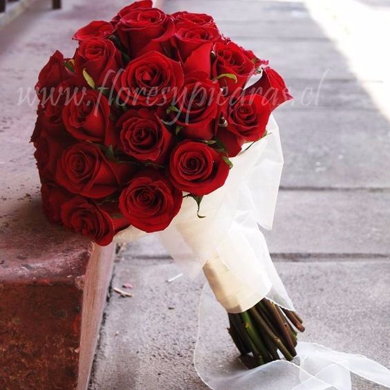 Rosas  25