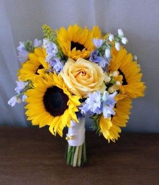 girasoles