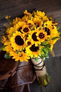 girasoles