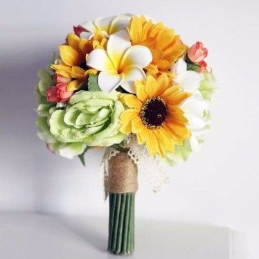 girasoles