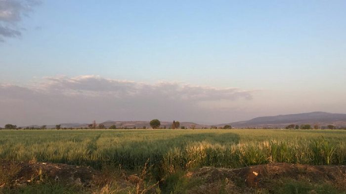 Lugar de su boda!!! - 8