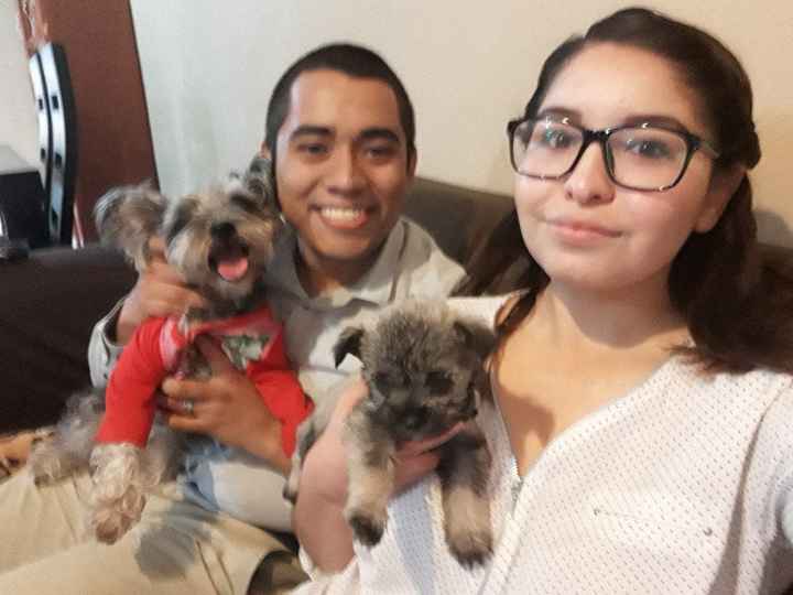  Perrihijos 😍🐶 - 1