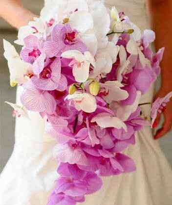 Que ramo elegir!!!!! - 12