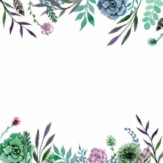 Plantilla 3