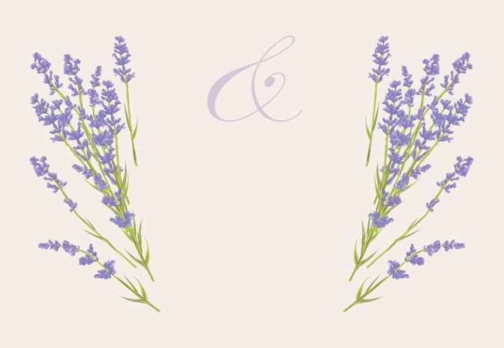 Plantilla 32