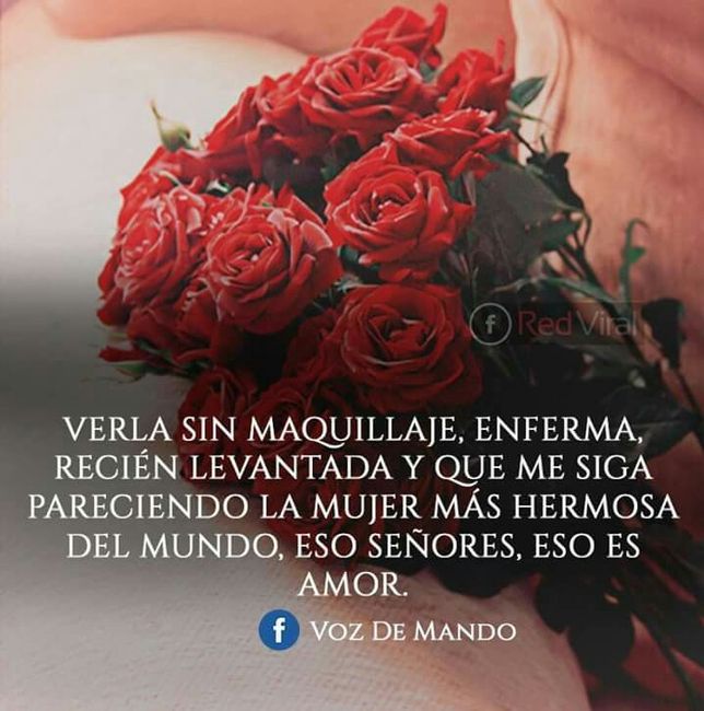 Amar es... - 1