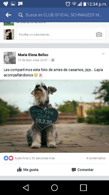 Me ayudan con ideas para save the date?? - 1