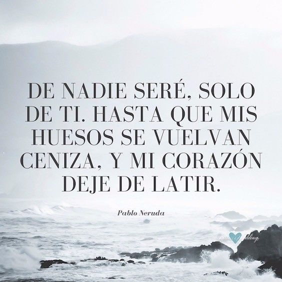 Frase 4