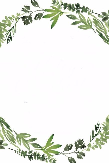 Plantilla 19