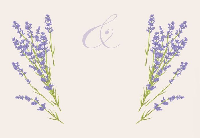 Plantilla 32