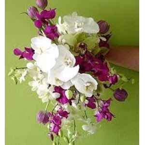 Club de la novia magenta - 9