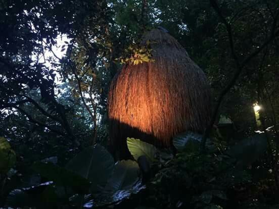 Lunas de miel en Mexico económicas - 2