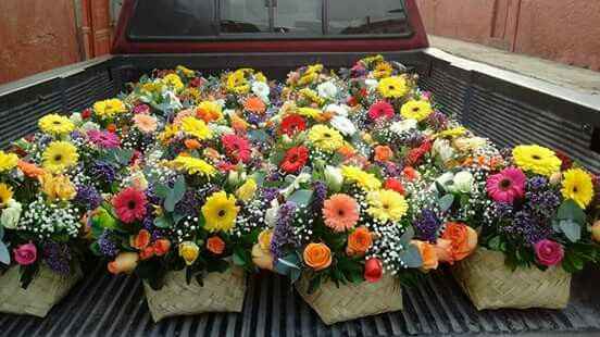 Temática para mí boda - 1