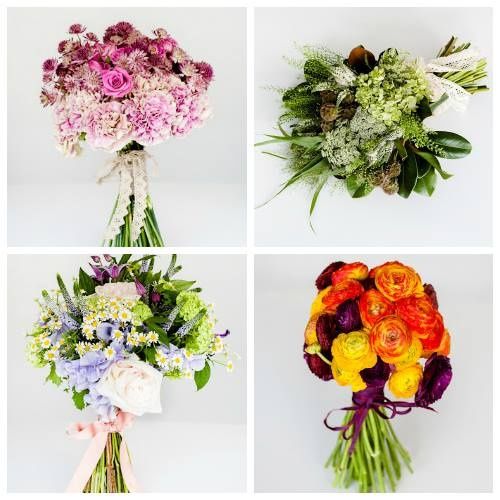colores y sabores