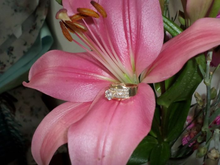 mi anillo