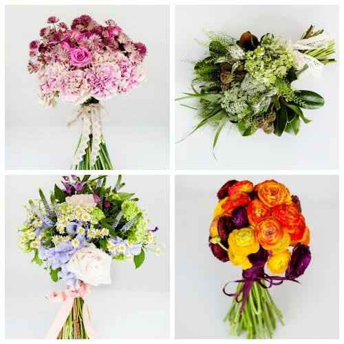 colores y sabores