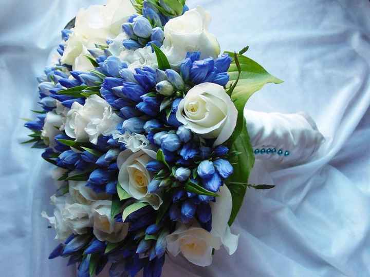 colores y olores