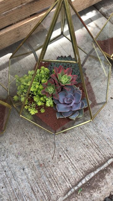 Centros de Mesa, Pinterest vs Realidad. Como nos quedaron? - 1