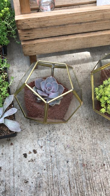 Centros de Mesa, Pinterest vs Realidad. Como nos quedaron? - 2