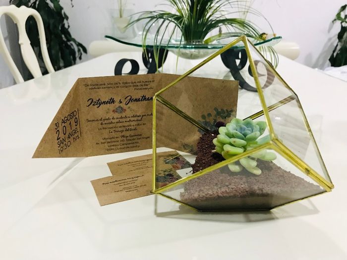 Terrarios con suculentas 