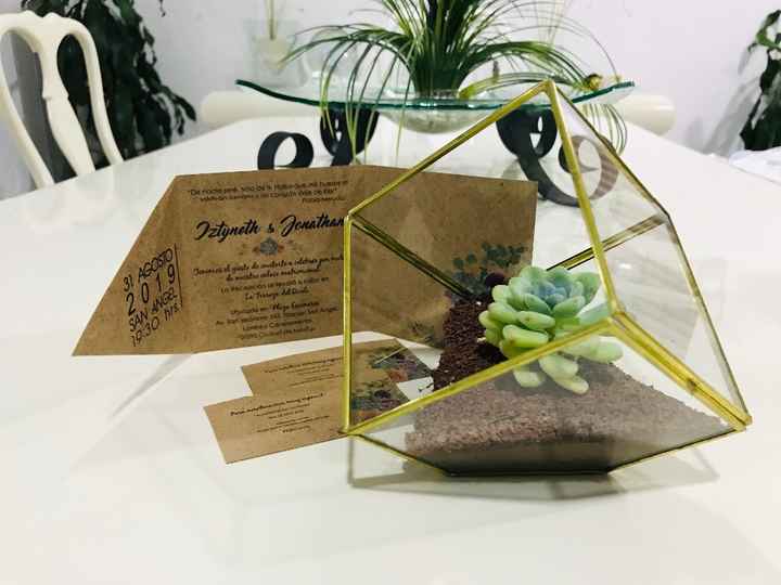 Terrarios con suculentas 