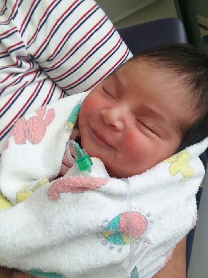 Ya nació mi pajesita - 1