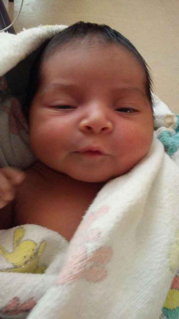 Ya nació mi pajesita - 2