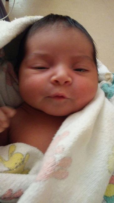 Ya nació mi pajesita - 2