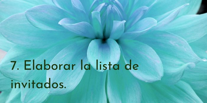 Primeros pasos para organizar la boda 7