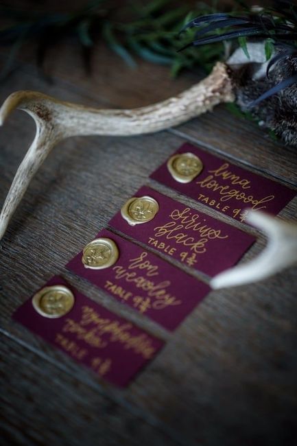 Boda temática: Harry Potter 23