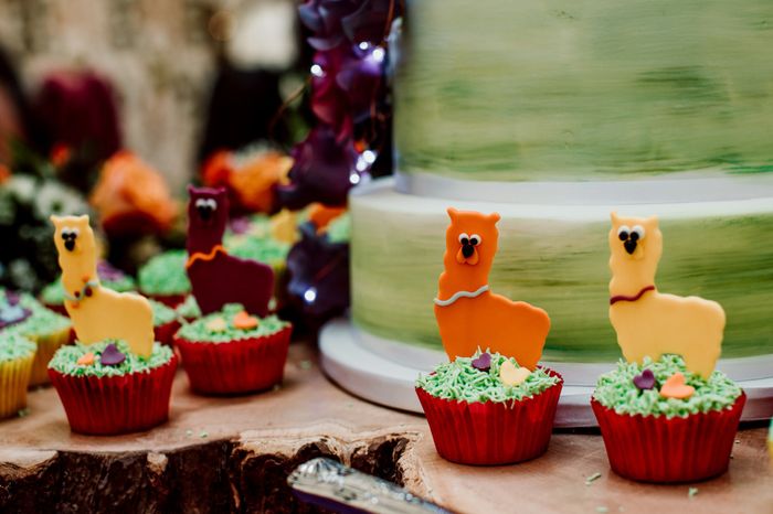 Una boda en llamas 🦙🌈🎨 15