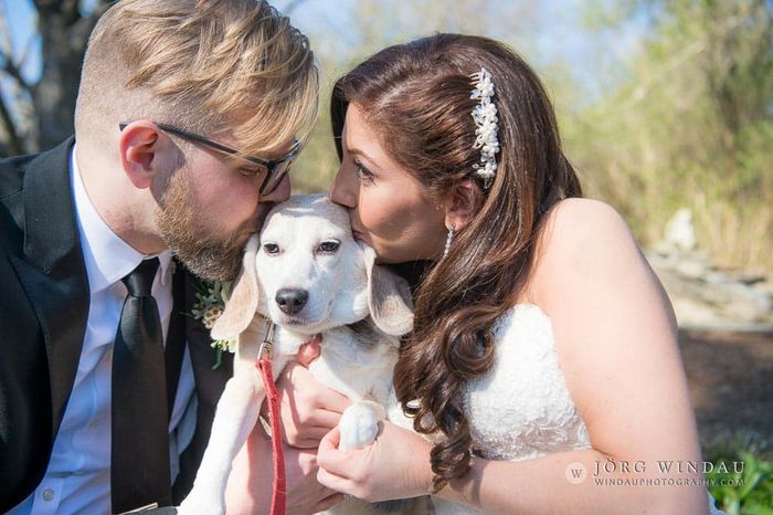 Gabby + Jeff: Una boda Star Wars 18