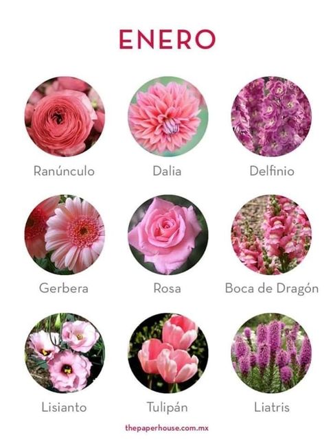 Flores de boda por mes 1