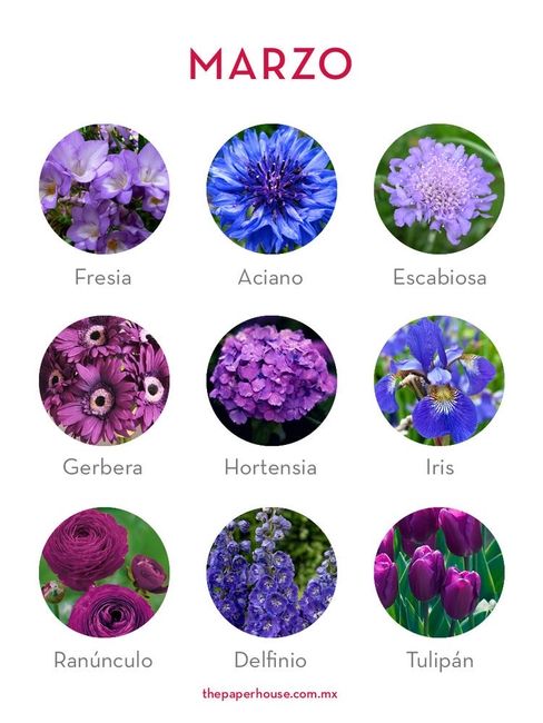 Flores de boda por mes 3